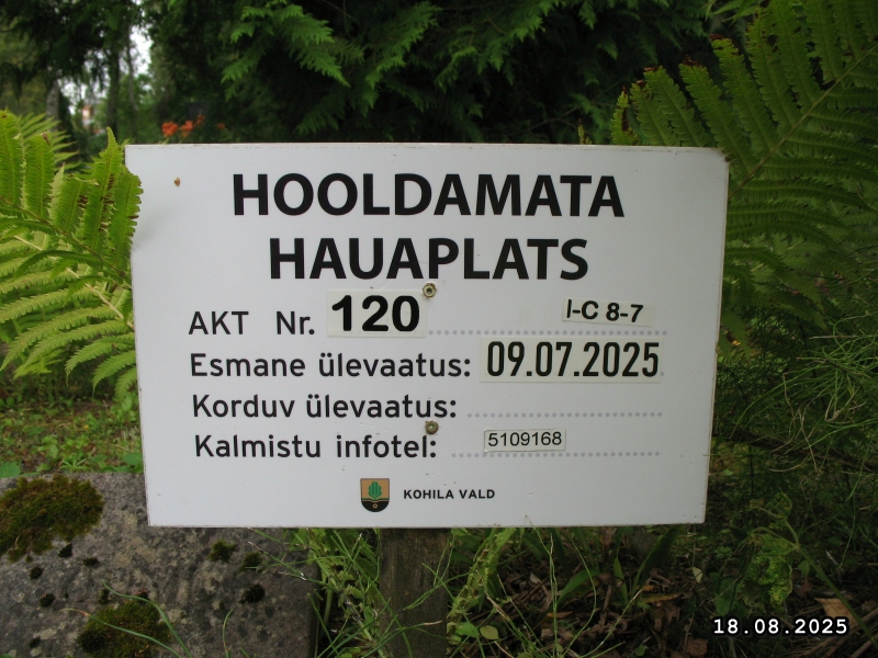 Hauaplatsi pilt 2