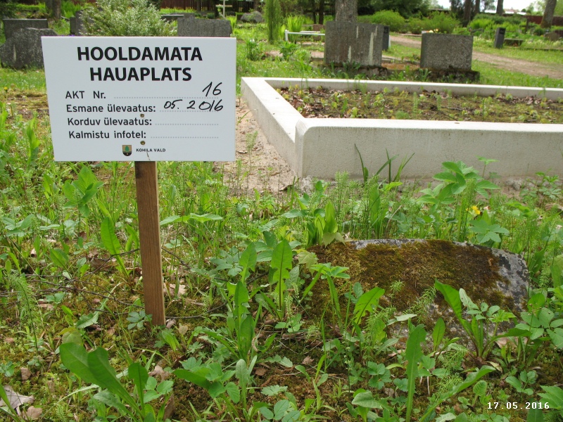 Hauaplatsi pilt 4