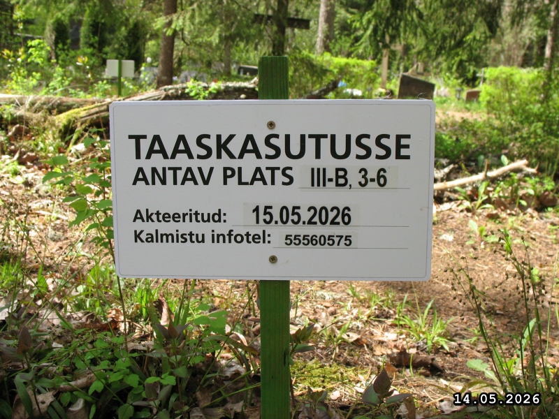 Hauaplatsi pilt 5