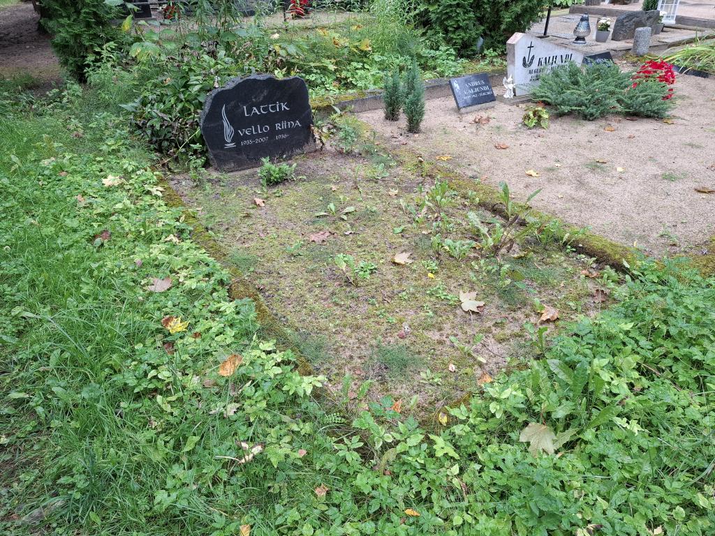 Hauaplatsi pilt