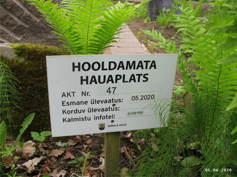 Hauaplatsi pilt 4