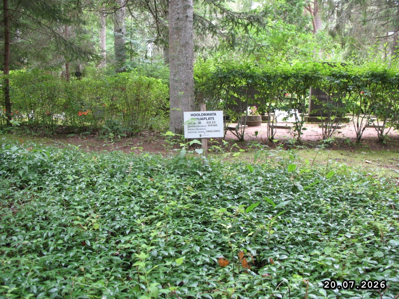 Hauaplatsi pilt 7