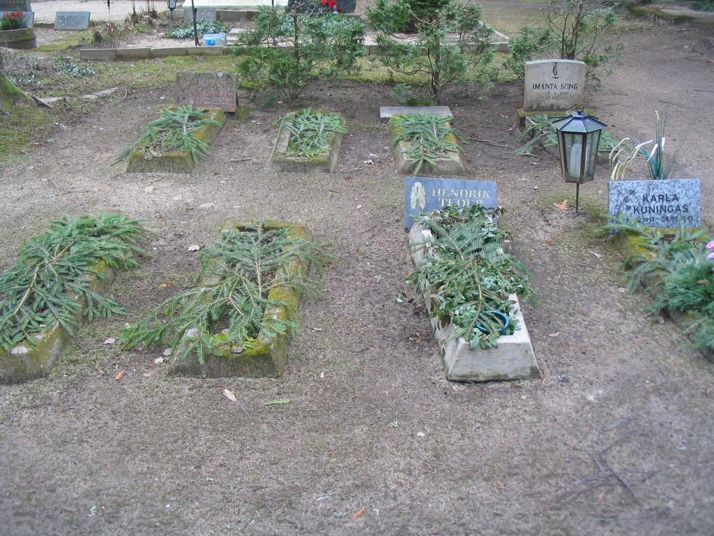 Hauaplatsi pilt 4