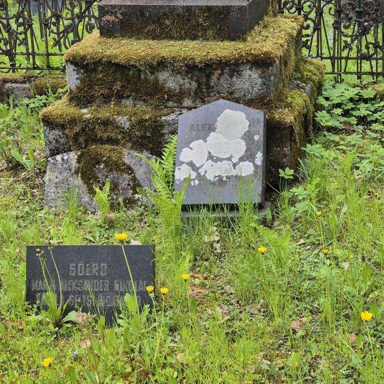 Hauaplatsi pilt