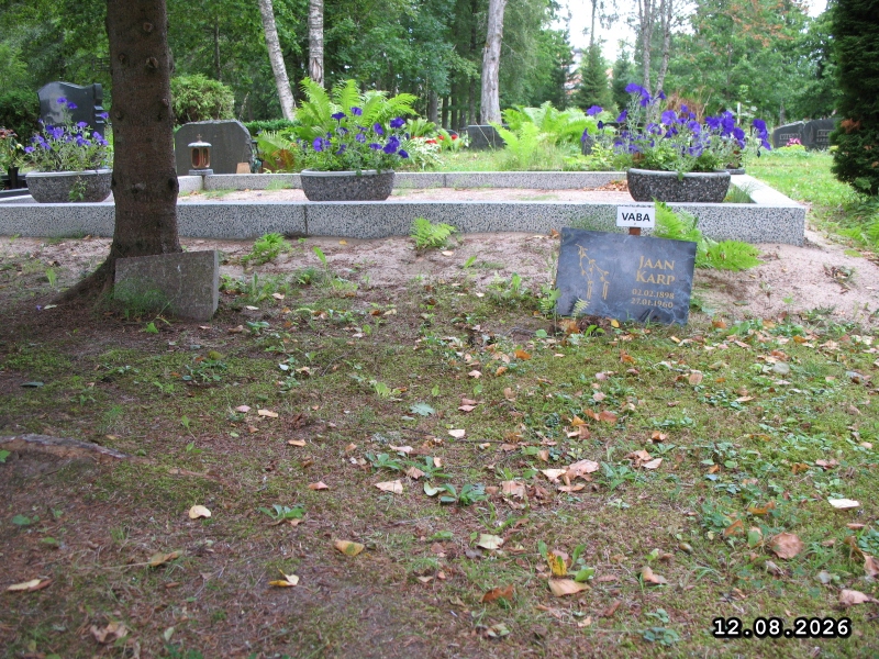 Hauaplatsi pilt