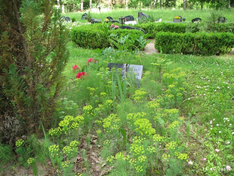 Hauaplatsi pilt 6