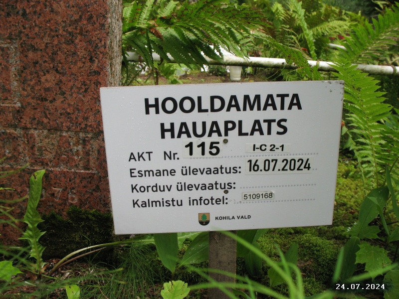 Hauaplatsi pilt 4