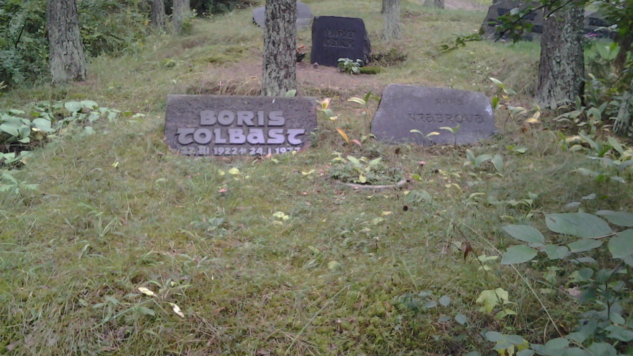 Hauaplatsi pilt
