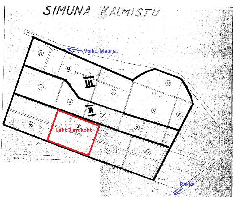 Hauaplatsi pilt 2