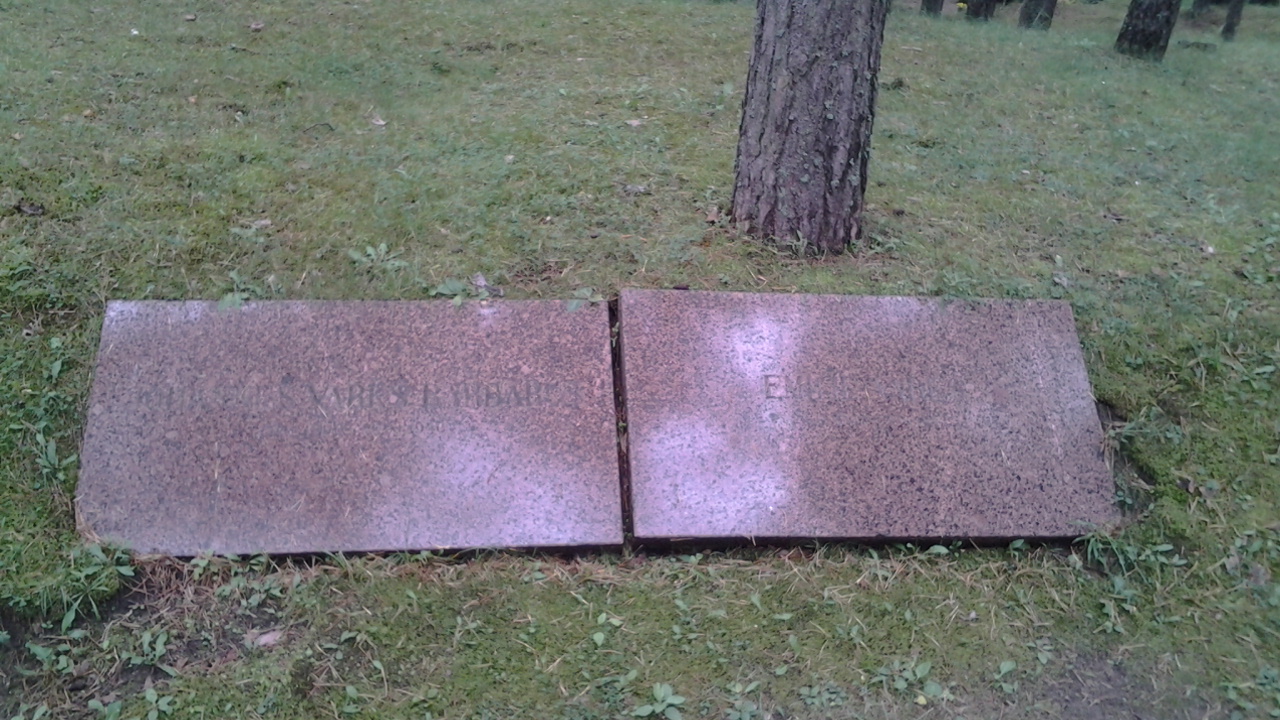 Hauaplatsi pilt