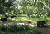 Pilt: Sepamäe kalmistu.jpg
