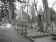 Pilt: Vaade Raasiku vanalt kalmistult(28.02.2008).jpg